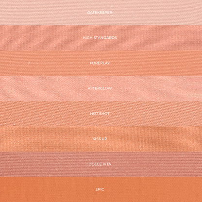 Pressed Blush High Standards