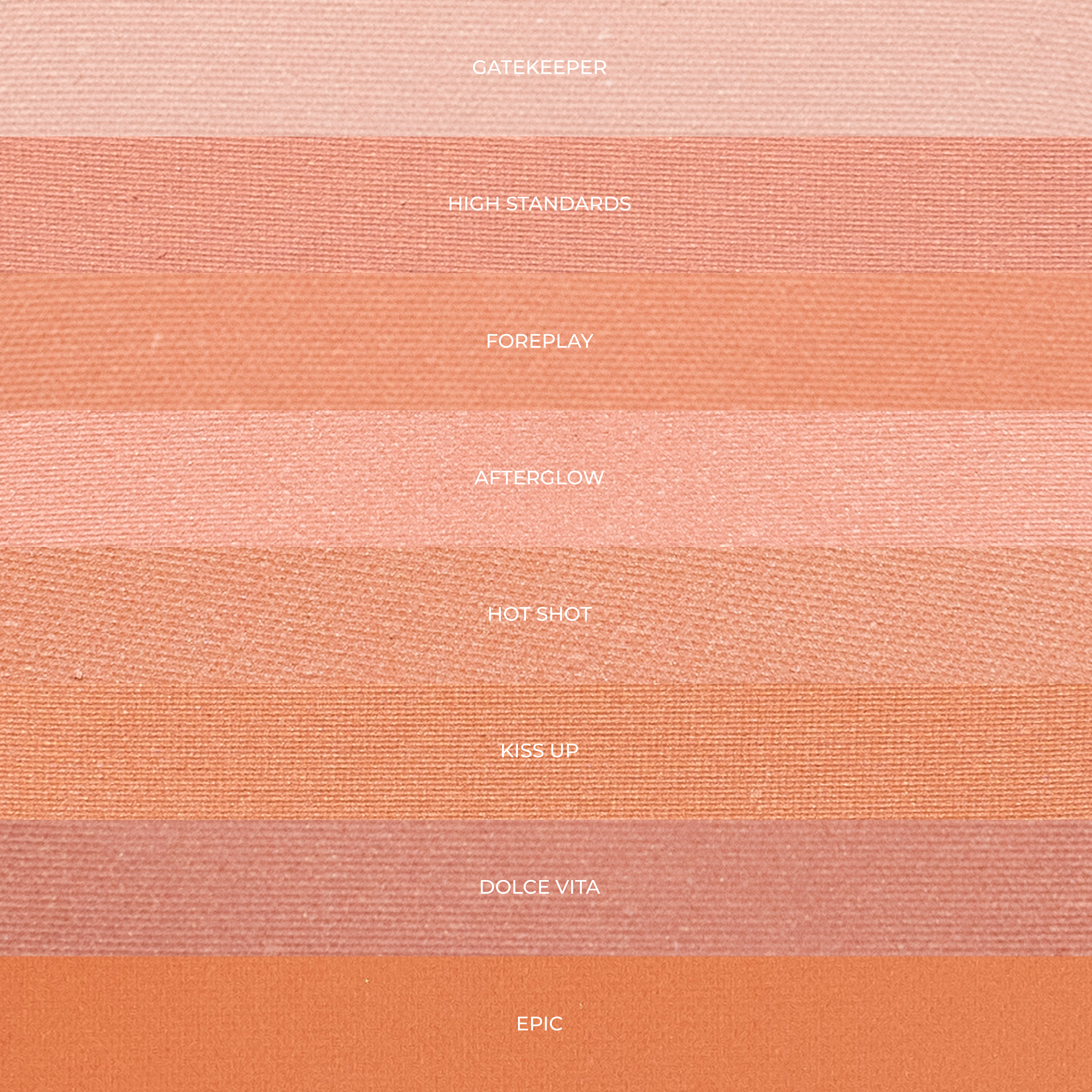 Pressed Blush High Standards