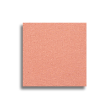 Pressed Blush High Standards